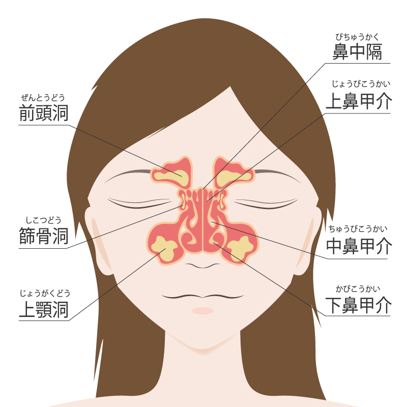 鼻 の 中 熱い