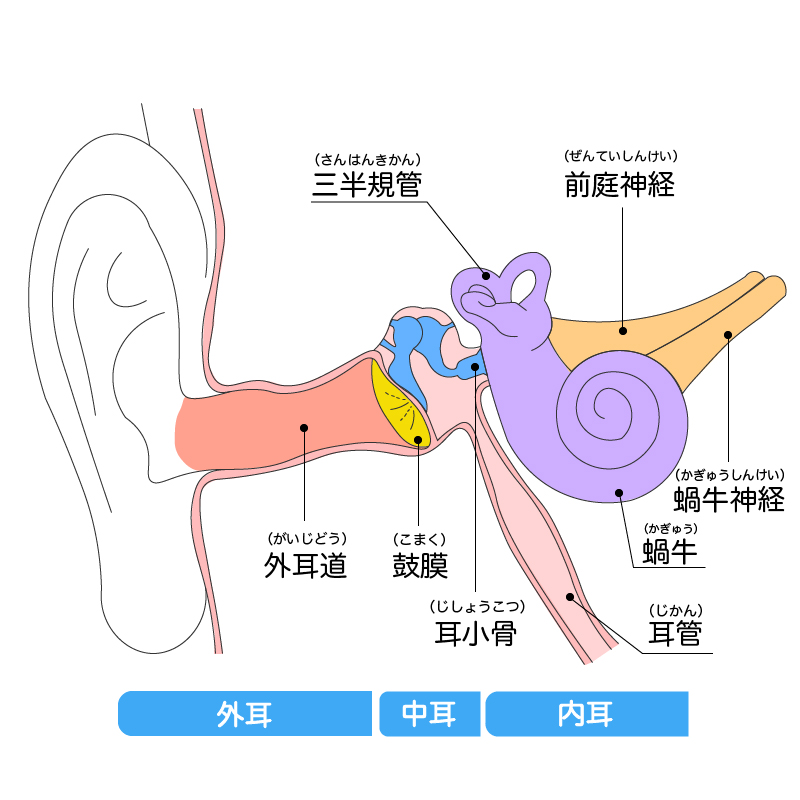 中耳炎